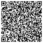 QR code with Public Consulting Group contacts