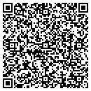 QR code with Public Sector Group contacts