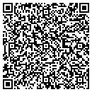 QR code with Pvb Assoc Inc contacts
