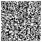 QR code with Public Consulting Group contacts
