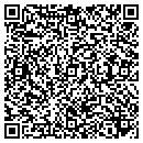 QR code with Protech Solutions Inc contacts