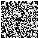 QR code with Chesapeake Analytics Corp contacts