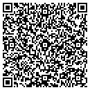 QR code with Consilience Group contacts