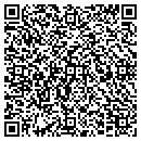 QR code with Ccic Consultants Inc contacts