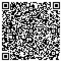 QR code with Megc Inc contacts