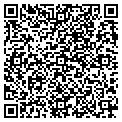 QR code with Synogy contacts