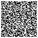 QR code with Team CFO contacts