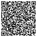 QR code with Cognos contacts