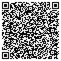 QR code with Davinci contacts