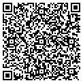 QR code with Pmm CO contacts