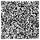 QR code with Premier Wealth Inc contacts