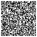 QR code with Pyxis Funds I contacts