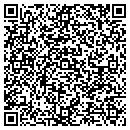 QR code with Precision Marketing contacts