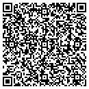 QR code with Cactus Strategies Inc contacts