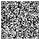 QR code with Critical Mass contacts
