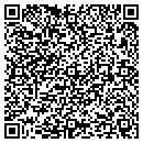 QR code with Pragmatics contacts