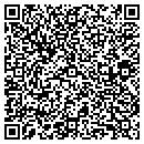 QR code with Precision Ensights LLC contacts