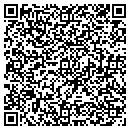 QR code with CTS Consulting Inc contacts