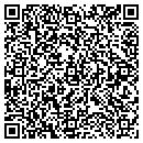 QR code with Precision Dialogue contacts