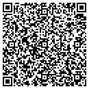 QR code with Pulse Marketing & Design contacts