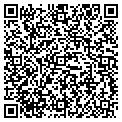 QR code with Tiger Media contacts