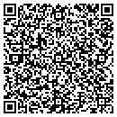 QR code with Public Alliance LLC contacts