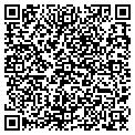 QR code with Vector contacts