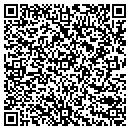 QR code with Professional Group Global contacts