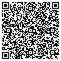 QR code with Amsoil contacts