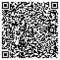 QR code with Ymca contacts