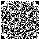 QR code with Pm Technologies Inc contacts