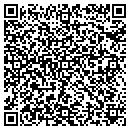 QR code with Purvi Entertainment contacts