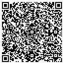 QR code with Caduceus Consulting contacts