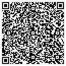 QR code with Profile Systems Inc contacts