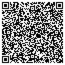 QR code with Pulsar Management Inc contacts
