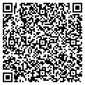 QR code with Colonial contacts