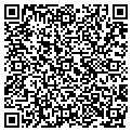 QR code with Bolero contacts