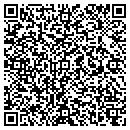 QR code with Costa Developers Inc contacts