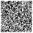 QR code with Spring Garden Townhouses contacts