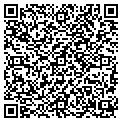 QR code with Magnum contacts