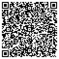 QR code with M Spa contacts