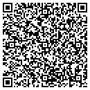 QR code with Blue Sun Travel contacts