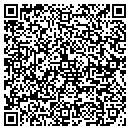 QR code with Pro Travel Network contacts