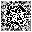 QR code with Baseball Journeys Inc contacts