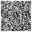 QR code with Carpet Cleaners NYC contacts