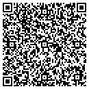 QR code with Purifoy Realty contacts