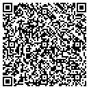 QR code with Process Architecture contacts