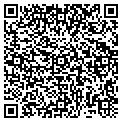 QR code with Window Genie contacts