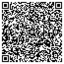 QR code with Blue Dolphin Pools contacts