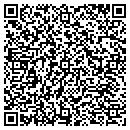 QR code with DSM Cleaning Service contacts